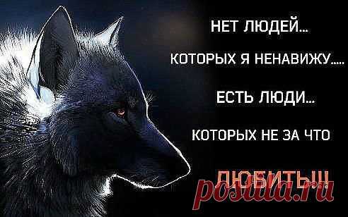 Интересные новости