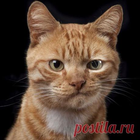 Маленькие хитрости, сильно упрощающие женские будни