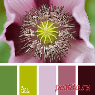 Цветы, деревья — источник вдохновения! | BepHuK собирает друзей