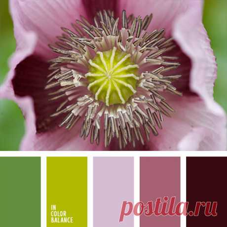 Цветы, деревья — источник вдохновения! | BepHuK собирает друзей