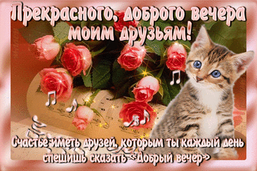 aa9ca011dafc018b2569971c62311ccf.gif (920×613)