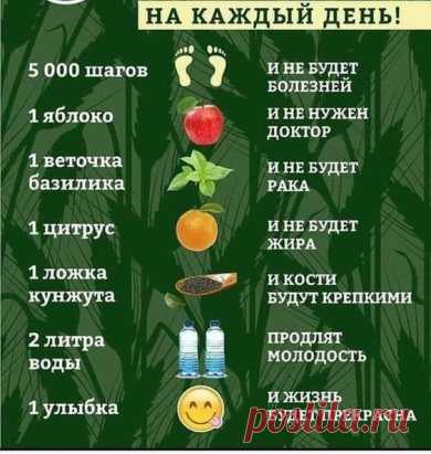Полезные советы