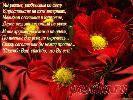 МОИМ ДРУЗЬЯМ - 333 фото. Фотографии Нина Горбачева.