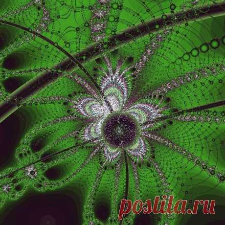 Фрактал, сделан в программе Fractal Explorer