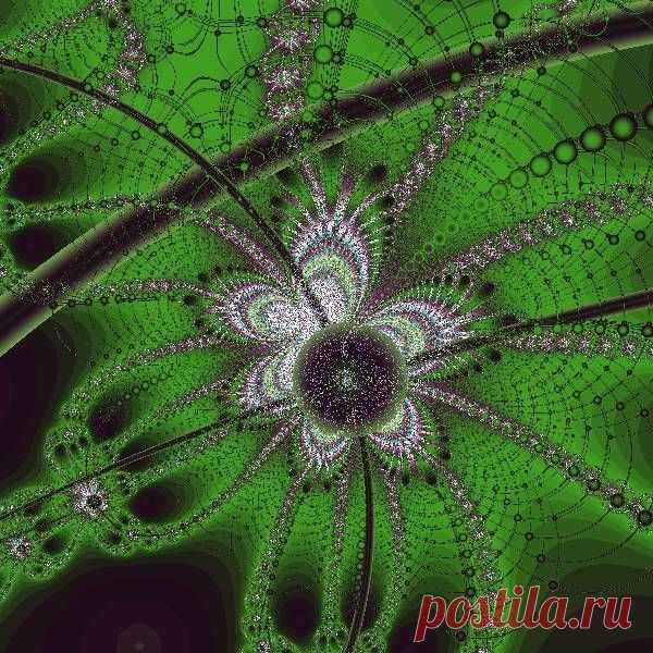 Фрактал, сделан в программе Fractal Explorer