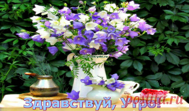 Рождение дня Музыкальная флеш открытка: Рождения дня Утро! Рождение дня — какое это счастье! Проснуться и рассвет в себя вдохнуть, сказать всему живому: «Здравствуй!», и в новый день с улыбкой заглянуть… С Добрым утром! Скопируйте ссылку и Отправьте бесплатно родным, подругам и друзьям! Музыкальная флеш открытка: Рождения дня Присоединяйтесь в нашу группу на Одноклассниках! Поделитесь с друзьями!...