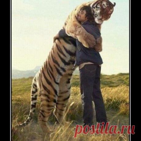 Мурзик вернулся!!!