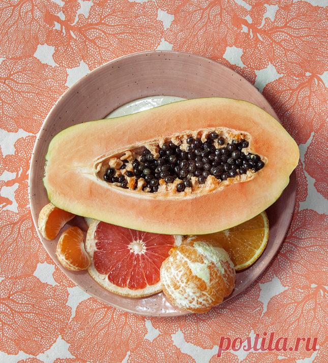 Как модные натюрморты Лючии Файнзильбер связаны с темой иммиграции | Радости жизни | Новости | VOGUE