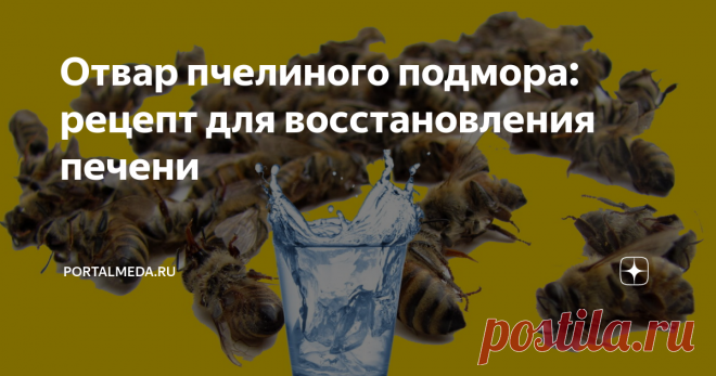 Отвар пчелиного подмора: рецепт для восстановления печени Пчелиный подмор - это погибшие пчёлы. Польза отвара из пчелиного подмора для печени и как  приготовить народное средство из пчелиного подмора в домашних условиях.