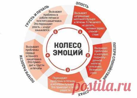 Пешеходы — сногсшибательная вера в себя!