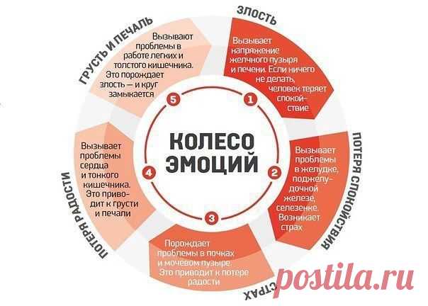 Пешеходы — сногсшибательная вера в себя!