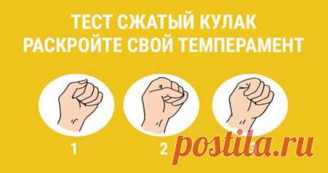 Тест: сожмите кулак и раскройте свой темперамент - Сонники, гороскопы, гадания
                                             - 16 декабря
                                             - 43259353477 - Медиаплатформа МирТесен Тест зажатый кулак поможет вам, только по 1 обычному перемещению пальцев выяснить собственный вид личности. Для этого следует попросту зажать кулак, ни о чем не размышляя. Совершите это в характерной вам манере.Результаты теста: 1. Большой палец лег повер...