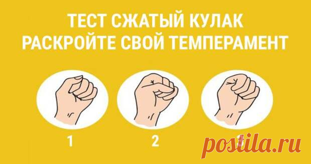 Тест: сожмите кулак и раскройте свой темперамент - Сонники, гороскопы, гадания
                                             - 16 декабря
                                             - 43259353477 - Медиаплатформа МирТесен Тест зажатый кулак поможет вам, только по 1 обычному перемещению пальцев выяснить собственный вид личности. Для этого следует попросту зажать кулак, ни о чем не размышляя. Совершите это в характерной вам манере.Результаты теста: 1. Большой палец лег повер...