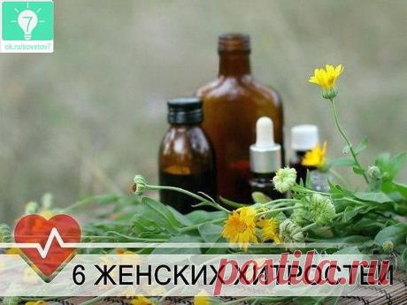 6 интересных домашних женских хитростей / КАК УЛУЧШИТЬ ЗАПАХ В КВАРТИРЕ! / Полезные свойства меда, смешанного с холодной водой / Идеальная кожа без прыщей с помощью аспирина / : РЕЦЕПТ ПРОДЛЕНИЯ ЖИЗНИ / Отвислый живот уберет полотенце / ВЕЧЕРОМ: МОЛОКО И СПЕЦИИ