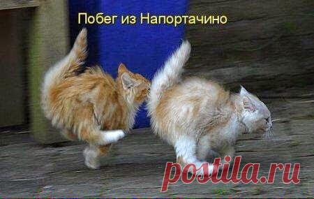 Улыбнитесь.