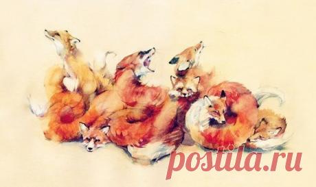 Нельзя быть пушистой для всех — растащат на воротники!