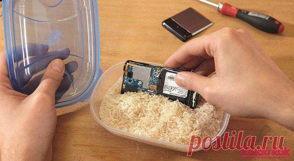 (+1) тема - Что делать с телефоном-утопленником? | Полезные советы