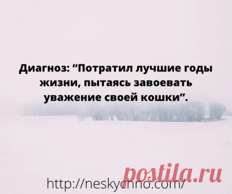 (27) Свежая подборка забавных историй, анекдотов и шуточек - Сказка для двоих - 8 февраля - 43502744844 - Медиаплатформа МирТесен