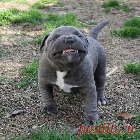 Нужно всегда улыбаться! Кому-то искренне, а кому-то назло! )))