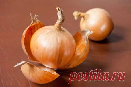 Луковая шелуха для огорода и дачи: удобрение и защита Луковая шелуха для огорода - это настоящее сокровище, спасающее от болезней, и подкармливающее растения. Простое средство заменит химические препараты.