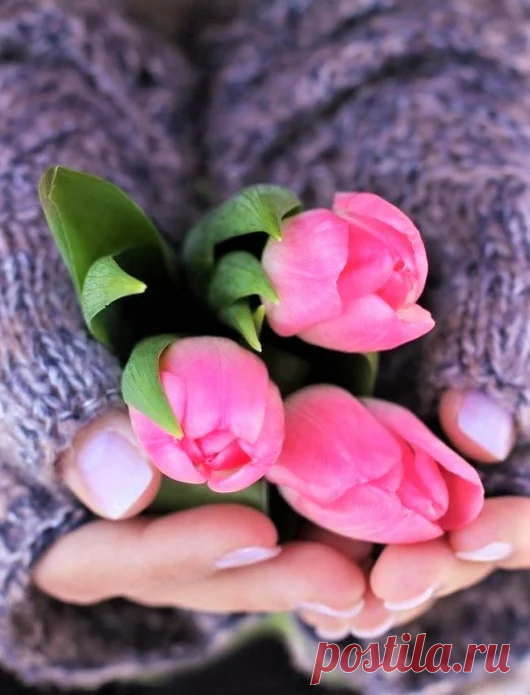 Беседка – Google+