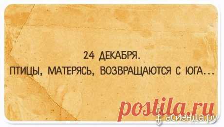 Несколько юмористических открыток: Группа Беседка «Дачная жизнь»