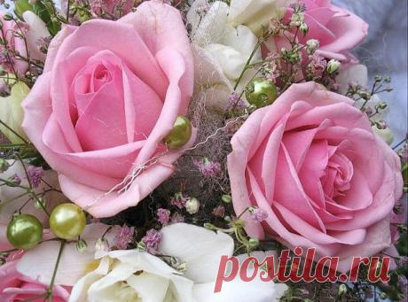 Плейкаст «МОЕЙ ЛЮБИМОЙ ПОДРУГЕ!!!»