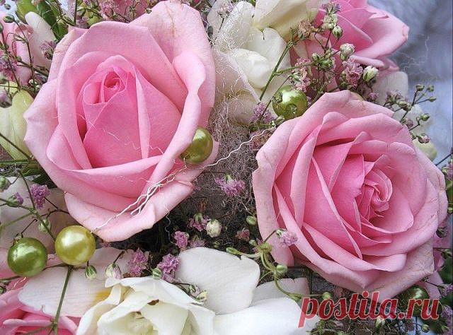 Плейкаст «МОЕЙ ЛЮБИМОЙ ПОДРУГЕ!!!»