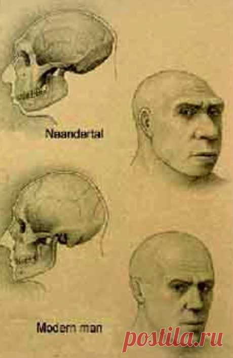 30 тысяч лет назад Земля чуть не опустела » ОКО ПЛАНЕТЫ информационно-аналитический портал