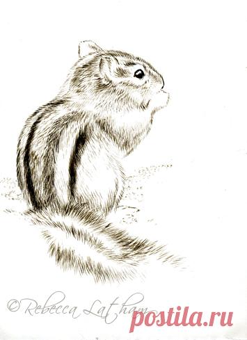 Маленькая картина бурундука – сепия | Картины дикой природы и природы Ребекки Лэтэм