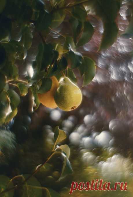 Фотографии жанра - Пейзаж. Профессиональные фото-сообщество 35PHOTO