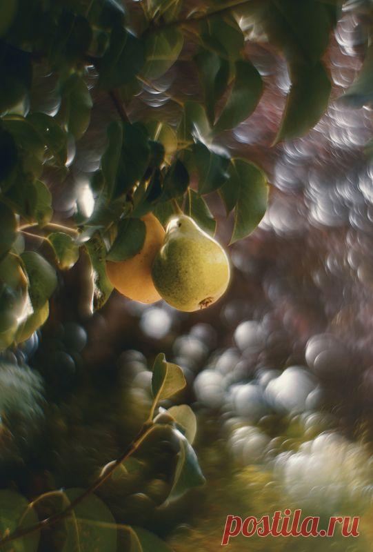 Фотографии жанра - Пейзаж. Профессиональные фото-сообщество 35PHOTO