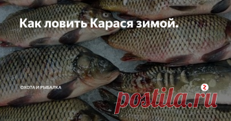 Как ловить Карася зимой. Основными местами, где карась прячется, является коряжник, заводи и донные углубления. Также опытные рыбаки определяют место обитания карася по наличию...