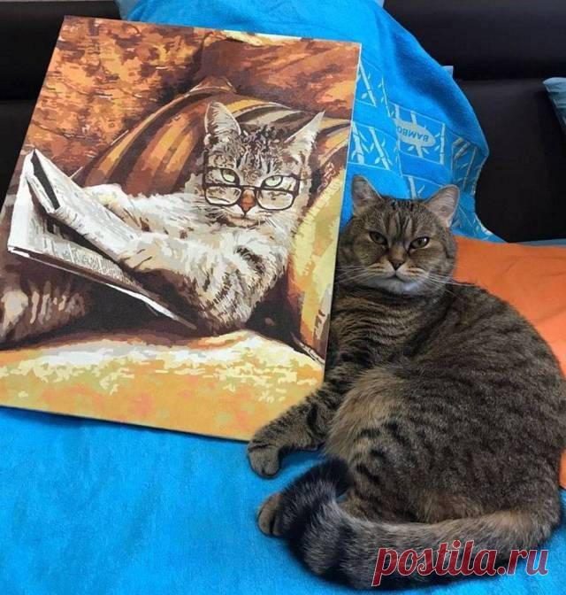 Прикольные картинки (24 фото) - Подборка прикольных и смешных картинок. Хорошего настроения от просмотра подборки картинок.