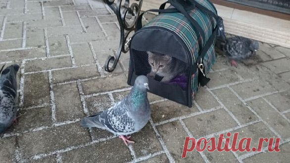 Мой Мир@Mail.Ru