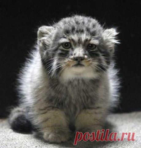 Что жизнь! - 29 мая 2014