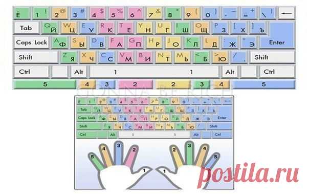 СОВЕТЫ как научиться печатать ВСЛЕПУЮ » RadioNetPlus.ru развлекательный портал