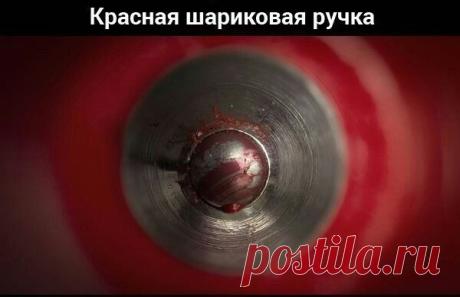 Предметы из повседневной жизни под большим увеличением / Интересное в IT