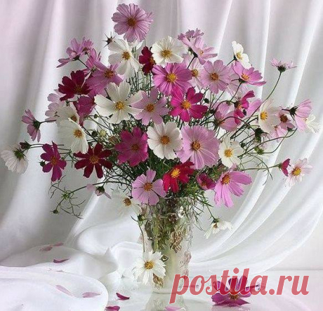 "Цветы- радость жизни"