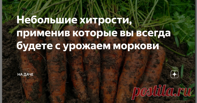 Небольшие хитрости, применив которые вы всегда будете с урожаем моркови Трудно представить огород без веселой зелени стройных рядков моркови? Витаминная, незаменимая, солнечная, простая в уходе, эта королева корнеплодов нуждается в правильном, своевременном «старте» и хотя бы минимальном внимании. Ухаживать нужно не столько за самой морковью, сколько за почвой, в которой она растет, формируется, вызревает. Выбрав сорта по вкусу и потребности, позаботившись о нескольких важ...