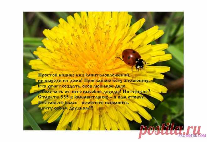 Чeрeз год вы будeтe жалeть, что нe начали ceгодня!!!
