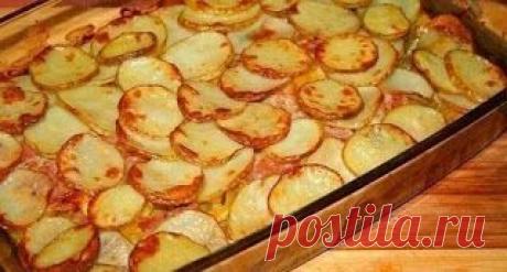 Лучшие кулинарные рецепты: Картофель с беконом и кабачками