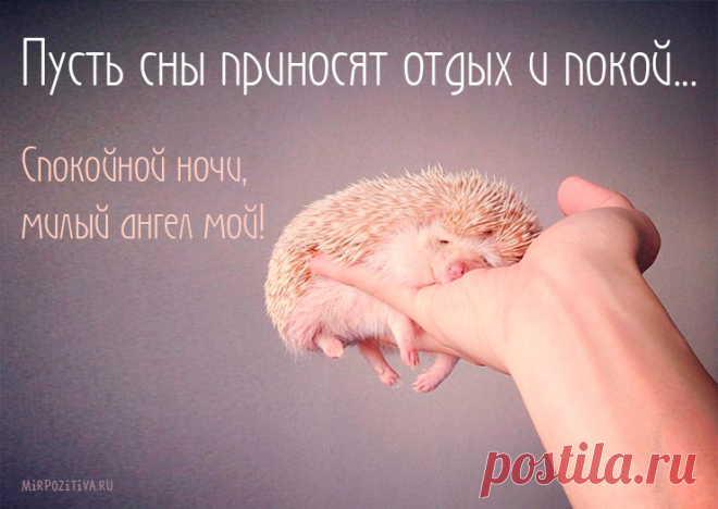 (7) Мой Мир@Mail.Ru