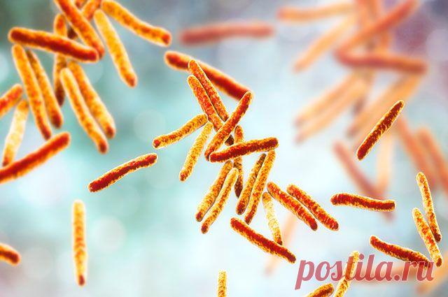 Страшная палочка. Какими фактами о туберкулезе пугают друг друга? Туберкулез — одна из 10 ведущих причин смертности в мире по данным Всемирной организации здравоохранения. Заболевание грозное и вызывает немало мифов и домыслов.