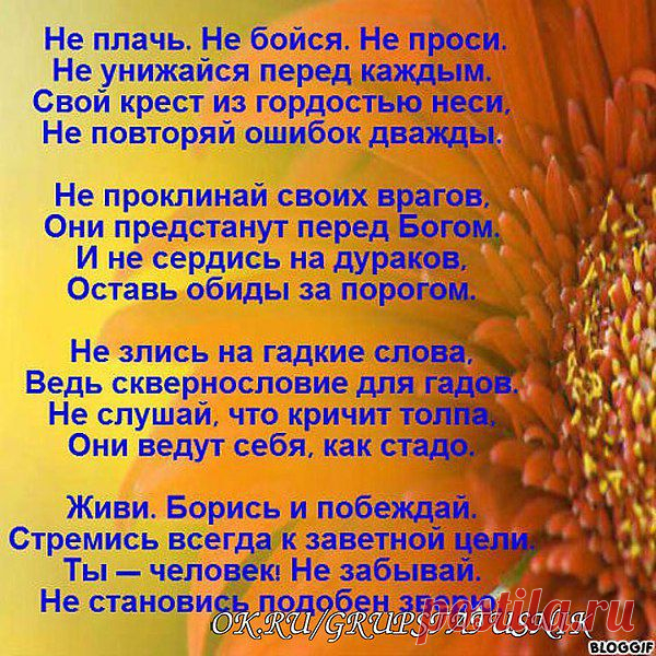 Интересные новости