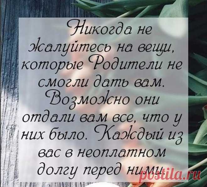 1 непрочитанный чат