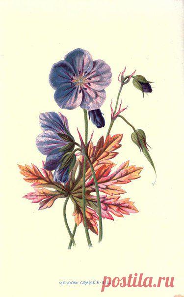 ~ MON PLAISIR ~ Вещи для души. Винтаж,Прованс.