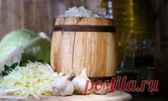 Как квасить капусту и солить огурцы без ошибок – советы специалиста | Советы (Огород.ru)