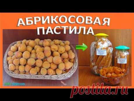 Рецепт пастилы из абрикос в сушилке Ezidri