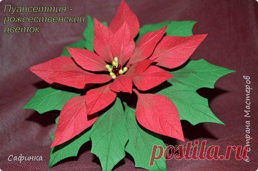 Мастер-класс по созданию волшебного цветка Пуансетия "Рождественская звезда" | Страна Мастеров